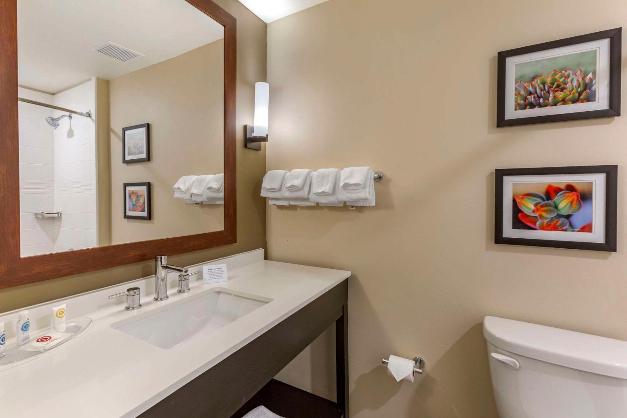 Comfort Suites Albuquerque Airport Eksteriør billede